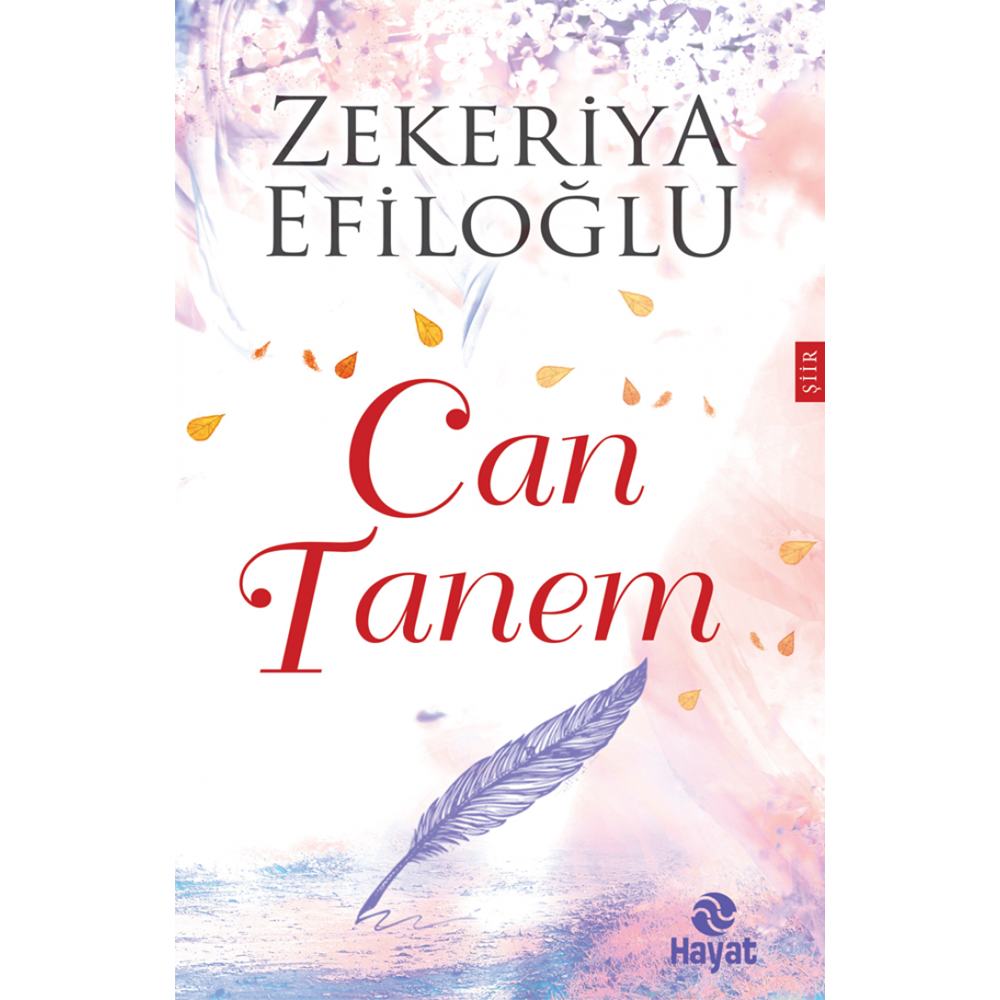 Can Tanem