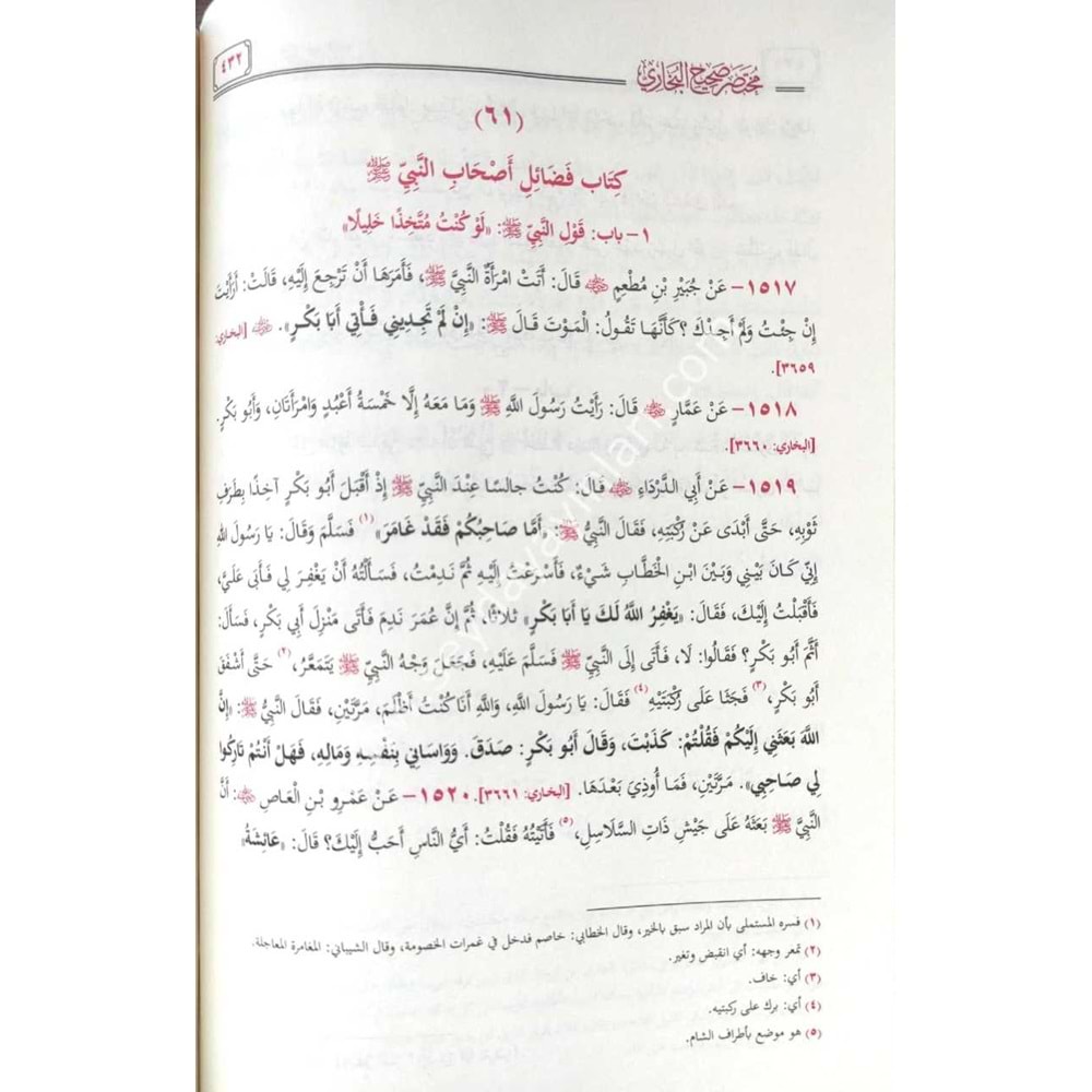 Muhtasaru Sahihil Buhari Et Tecridüs Sarih / مختصر صحيح البخاري التجريد الصريح لأحاديث الجامع الصحيح