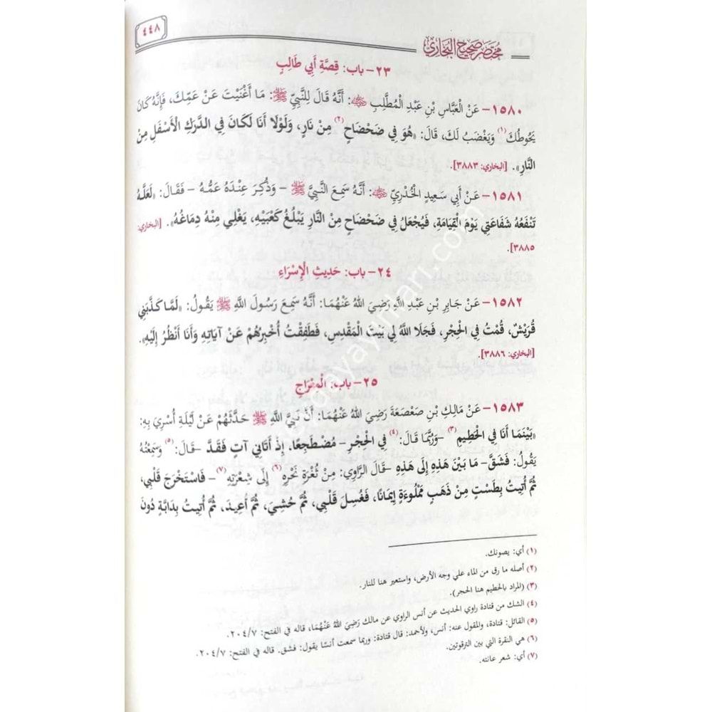 Muhtasaru Sahihil Buhari Et Tecridüs Sarih / مختصر صحيح البخاري التجريد الصريح لأحاديث الجامع الصحيح