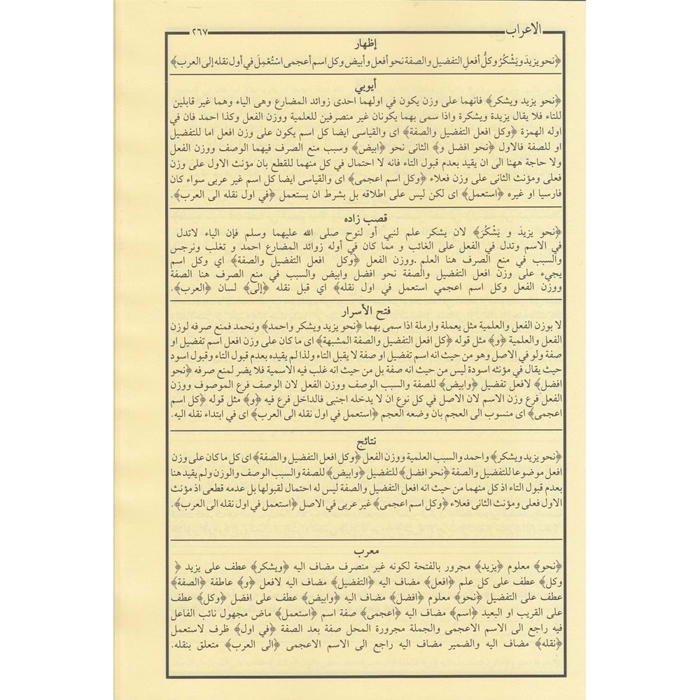 Şuruhul İzhar 1/2 شروح الإظهر