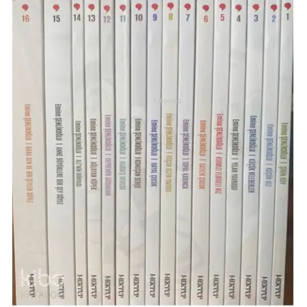 Nesillerin Öyküsü Serisi 1/16