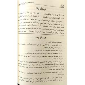 Haşiyetül Huderi Ala İbni Akil 1/2 حاشية الخضري على ابن عقيل