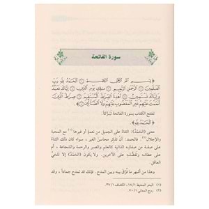 Lemesatün Beyaniyye / لمسات بيانية في نصوص من التنزيل