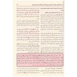 Şerhu riyazü s-salihin / شرح رياض الصالحين