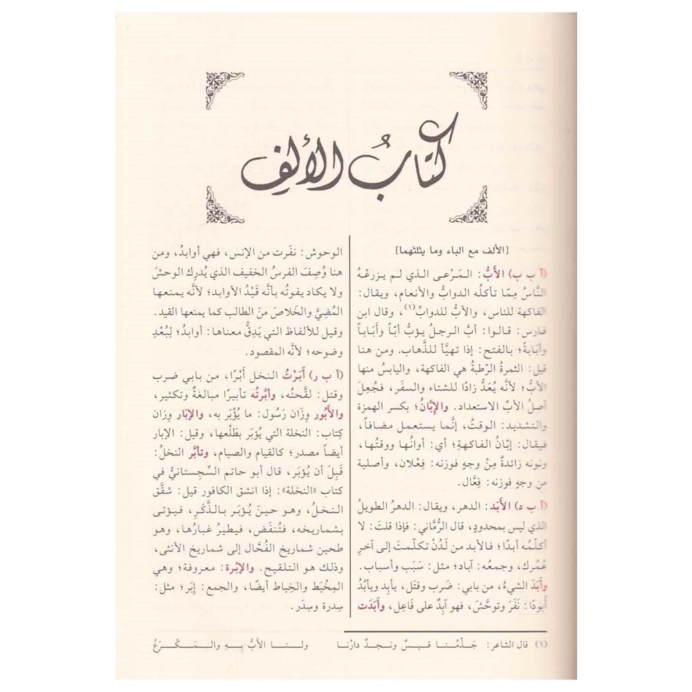 El-Misbahül-münir / المصباح المنير